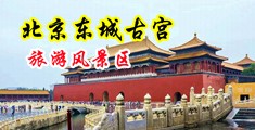 啊啊啊啊我要好舒服大鸡吧操骚逼啊啊啊起视频中国北京-东城古宫旅游风景区